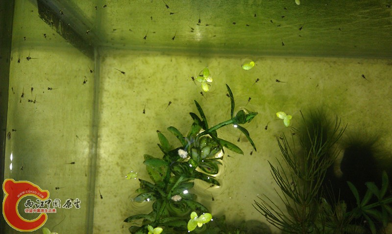 IMAG0608_副本.jpg