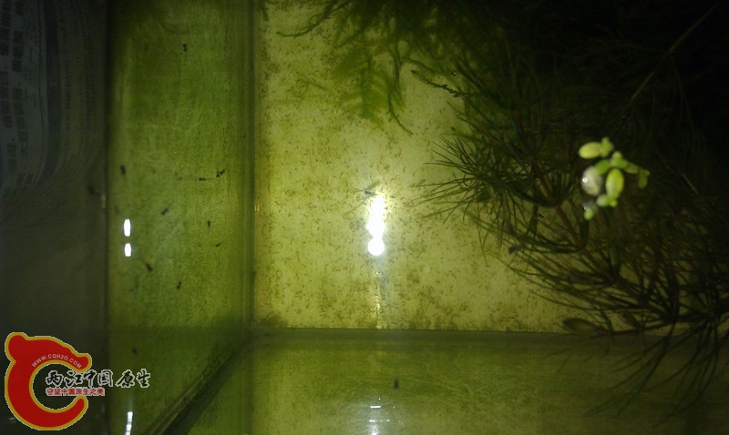 IMAG0609_副本.jpg