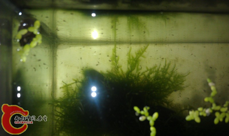 IMAG0619_副本.jpg