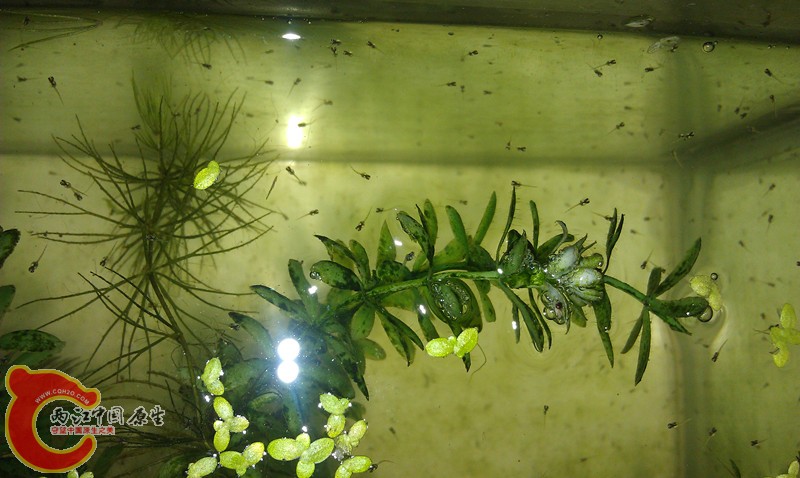 IMAG0615_副本.jpg
