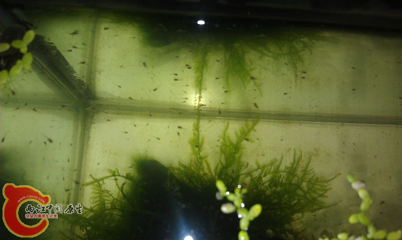 IMAG0616_副本.jpg