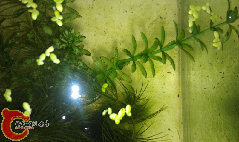 IMAG0618_副本.jpg