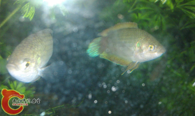 IMAG0640_副本.jpg