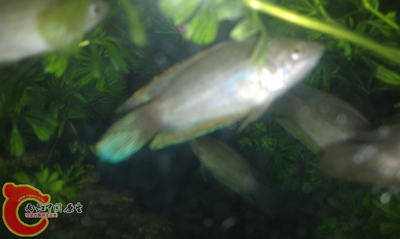 IMAG0655_副本.jpg
