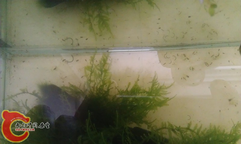 IMAG0669_副本.jpg