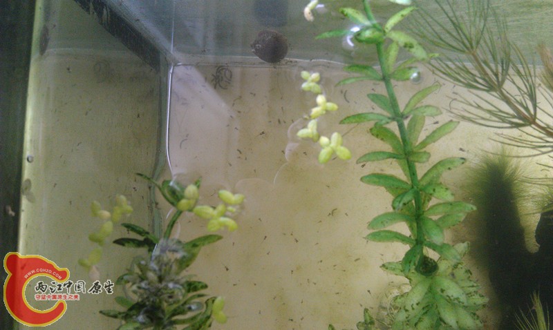 IMAG0670_副本.jpg