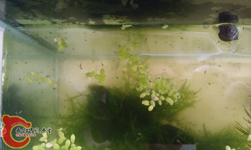 IMAG0673_副本.jpg