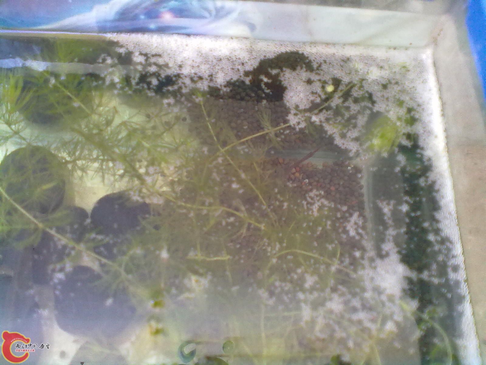 201305102314.jpg
