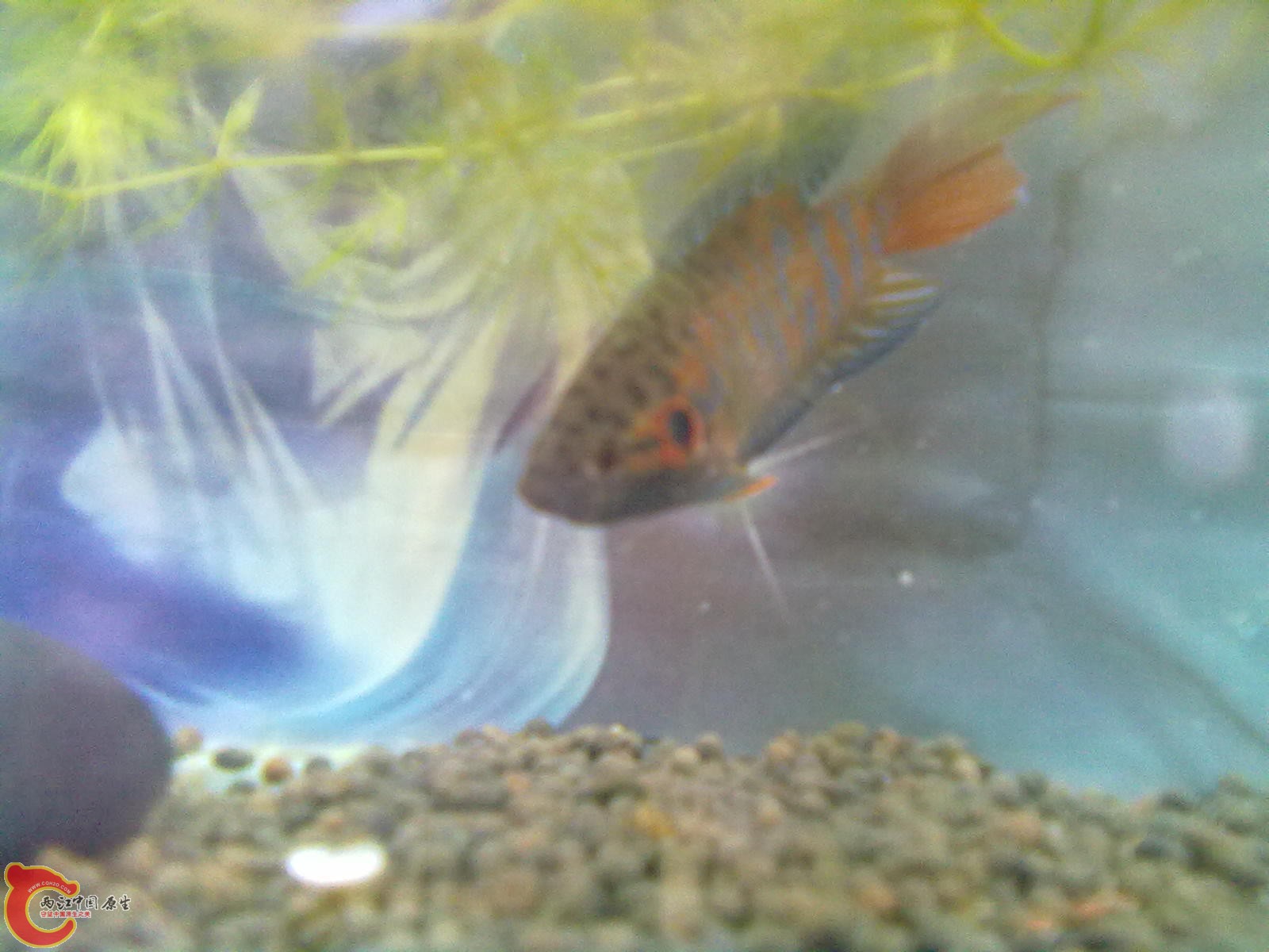 201305102316.jpg