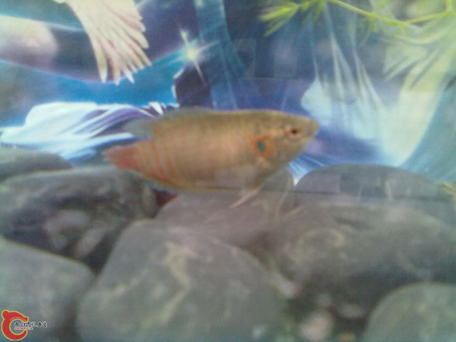 201305102320.jpg