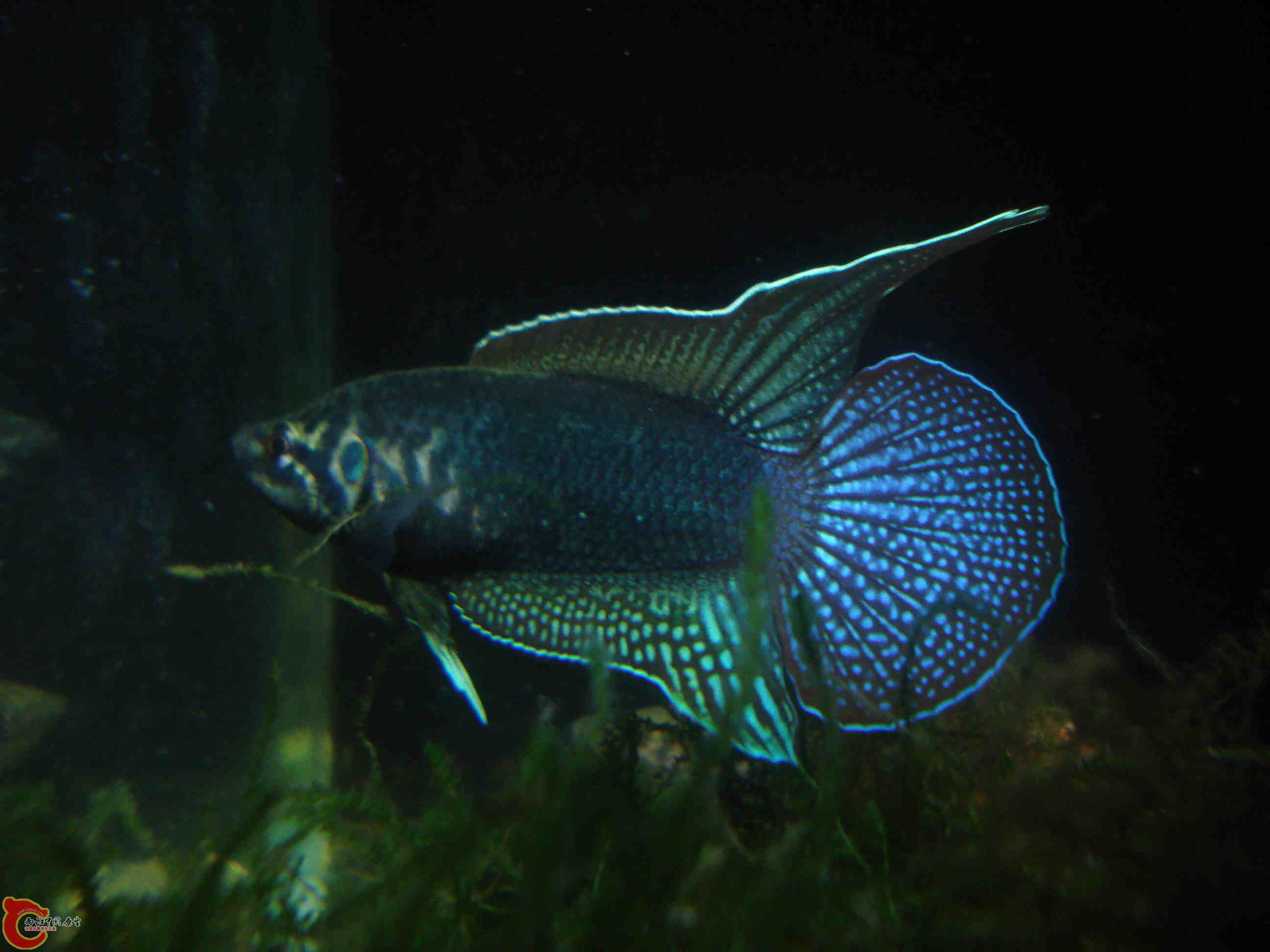 DSC04563_副本.jpg