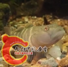 IMAG0081.jpg