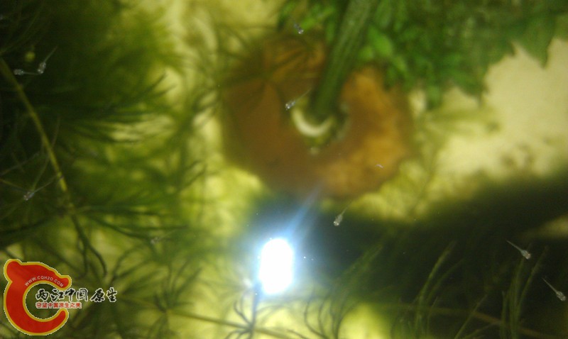 IMAG0686_副本.jpg