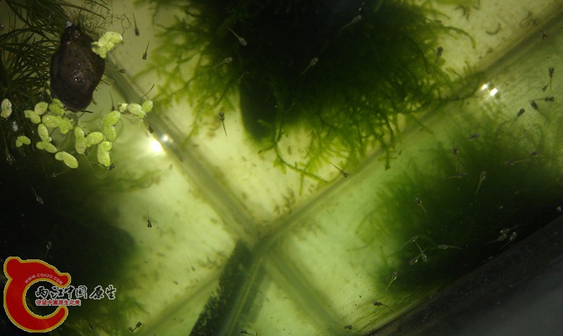 IMAG0694_副本.jpg