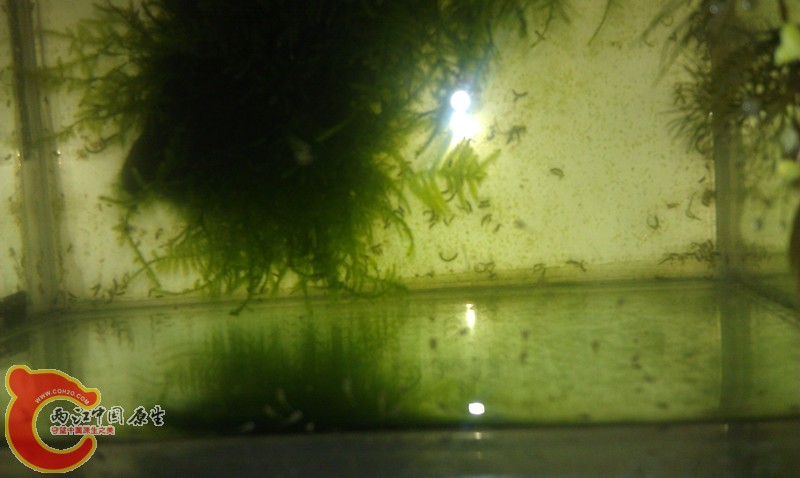 IMAG0679_副本.jpg