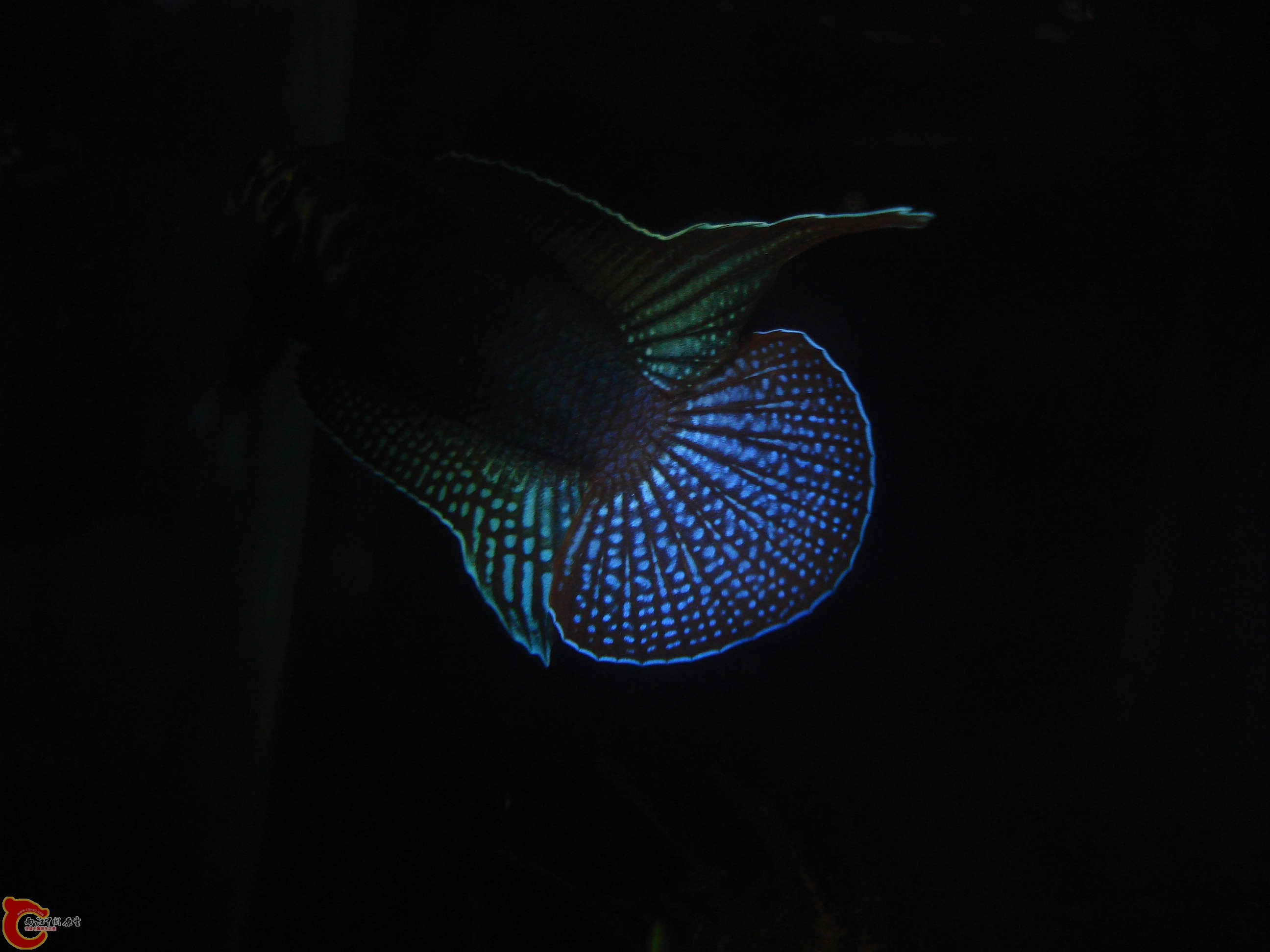DSC04576.JPG