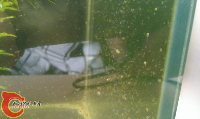 IMAG0705_副本.jpg