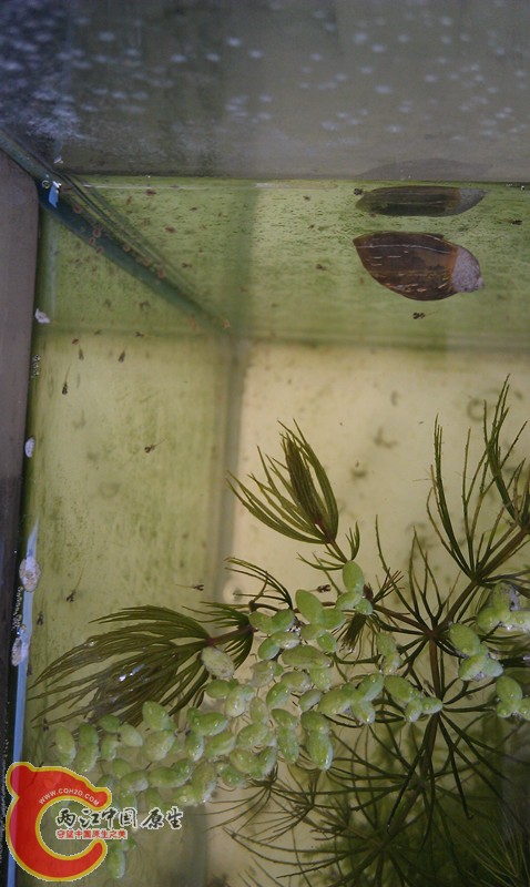 IMAG0698_副本.jpg