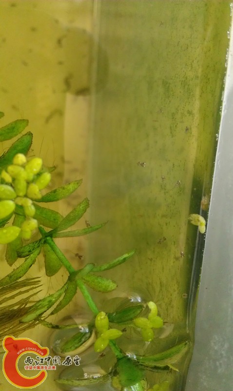 IMAG0700_副本.jpg
