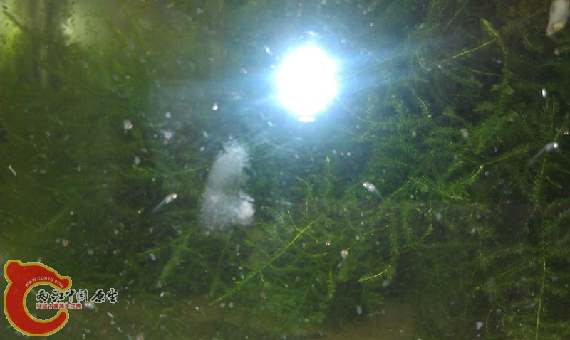 IMAG0701_副本.jpg