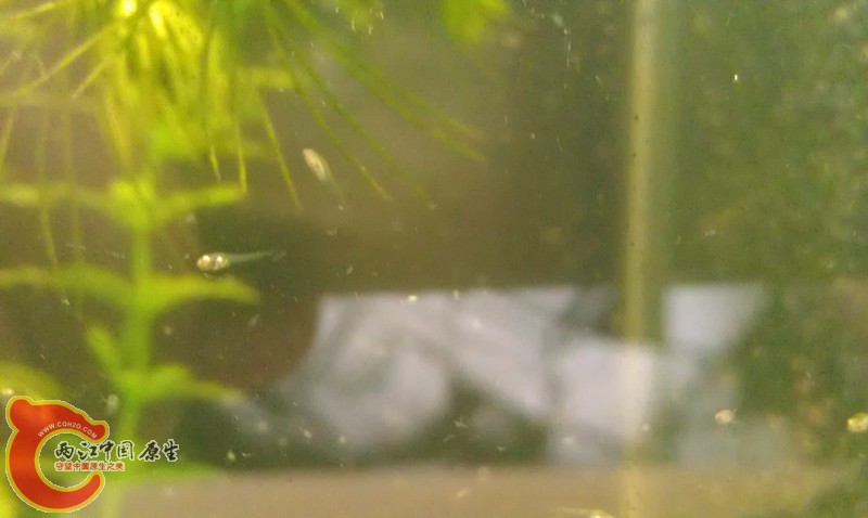 IMAG0704_副本.jpg