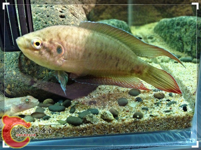 IMG_0565.JPG