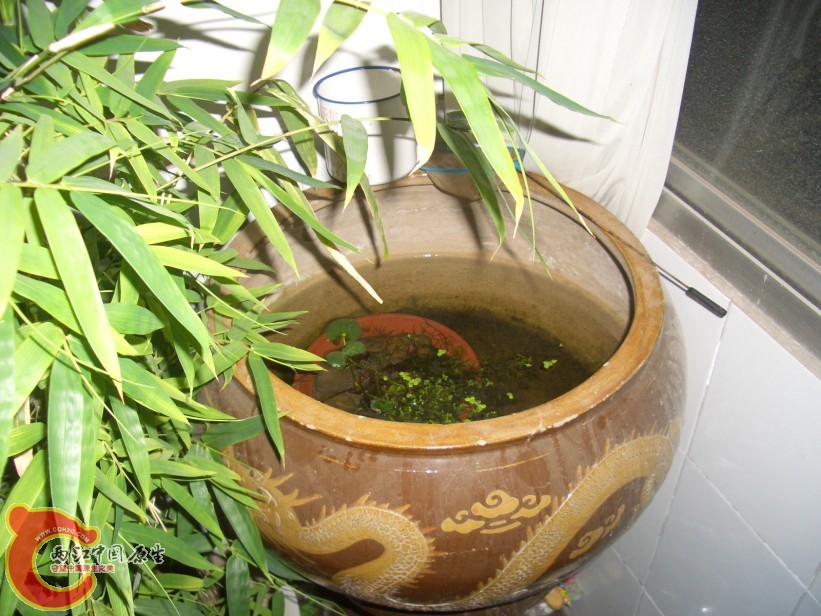 环境照