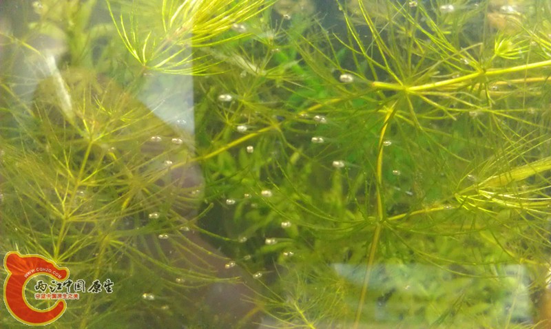 IMAG0707_副本.jpg