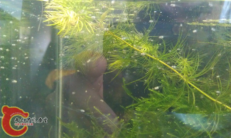 IMAG0708_副本.jpg