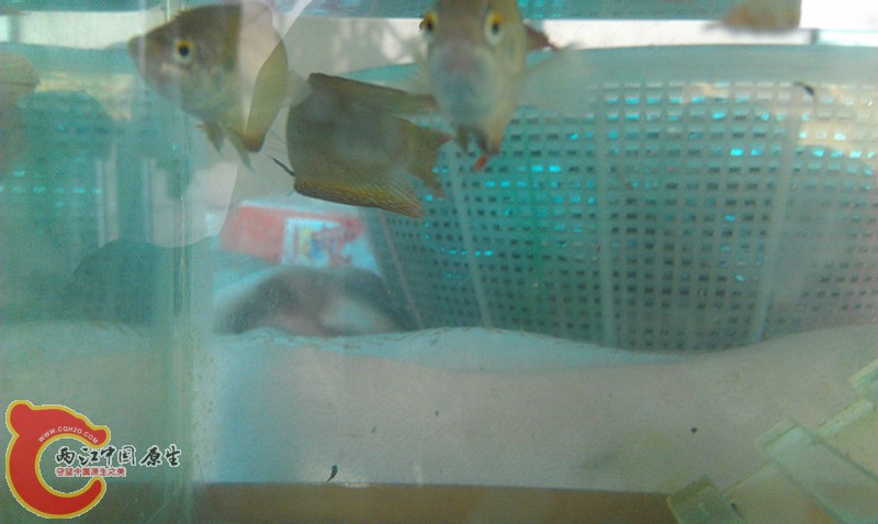 IMAG0712_副本.jpg