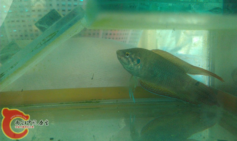 IMAG0713_副本.jpg