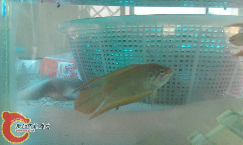 IMAG0715_副本.jpg