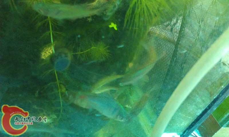 IMAG0716_副本.jpg