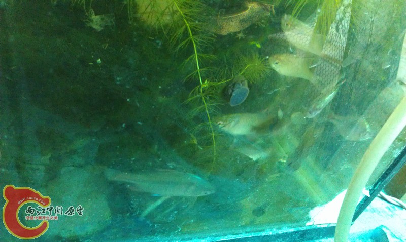 IMAG0717_副本.jpg