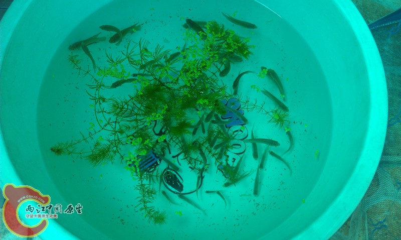 IMAG0744_副本.jpg