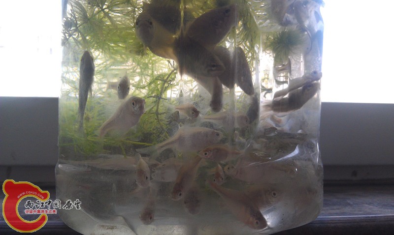 IMAG0746_副本.jpg