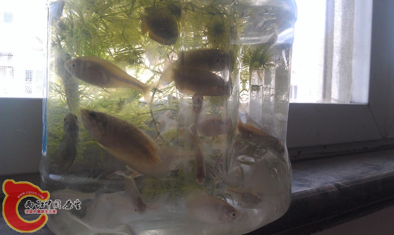 IMAG0747_副本.jpg