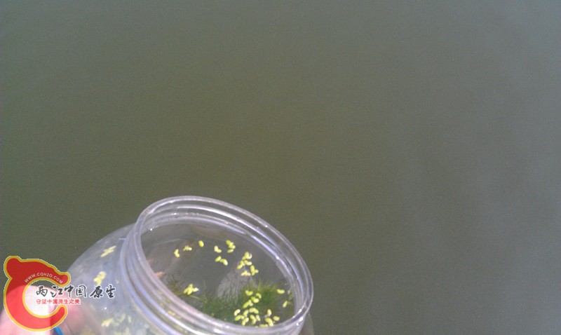 IMAG0748_副本.jpg