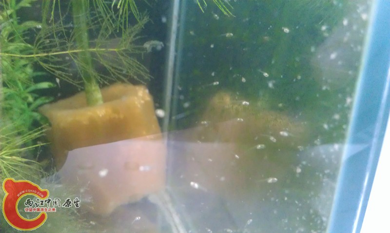 IMAG0738_副本.jpg