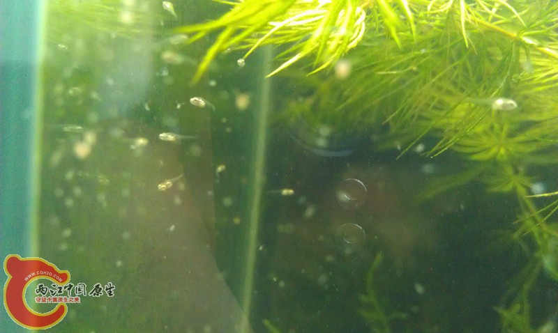 IMAG0740_副本.jpg
