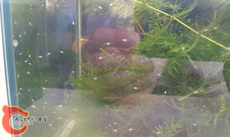 IMAG0755_副本.jpg
