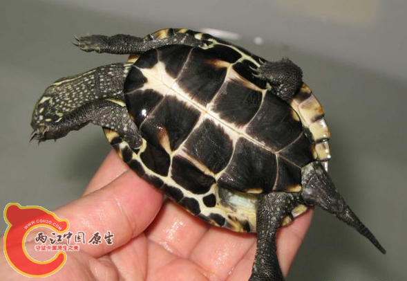 QQ截图20130514185857.png