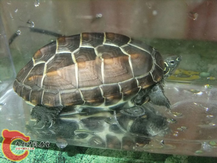 large_h4MU_684f000178ef1191.jpg