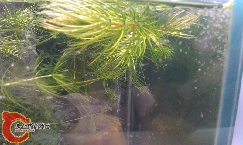 IMAG0773_副本.jpg