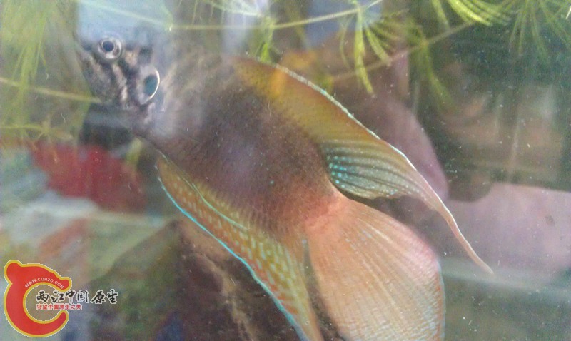 IMAG0757_副本.jpg