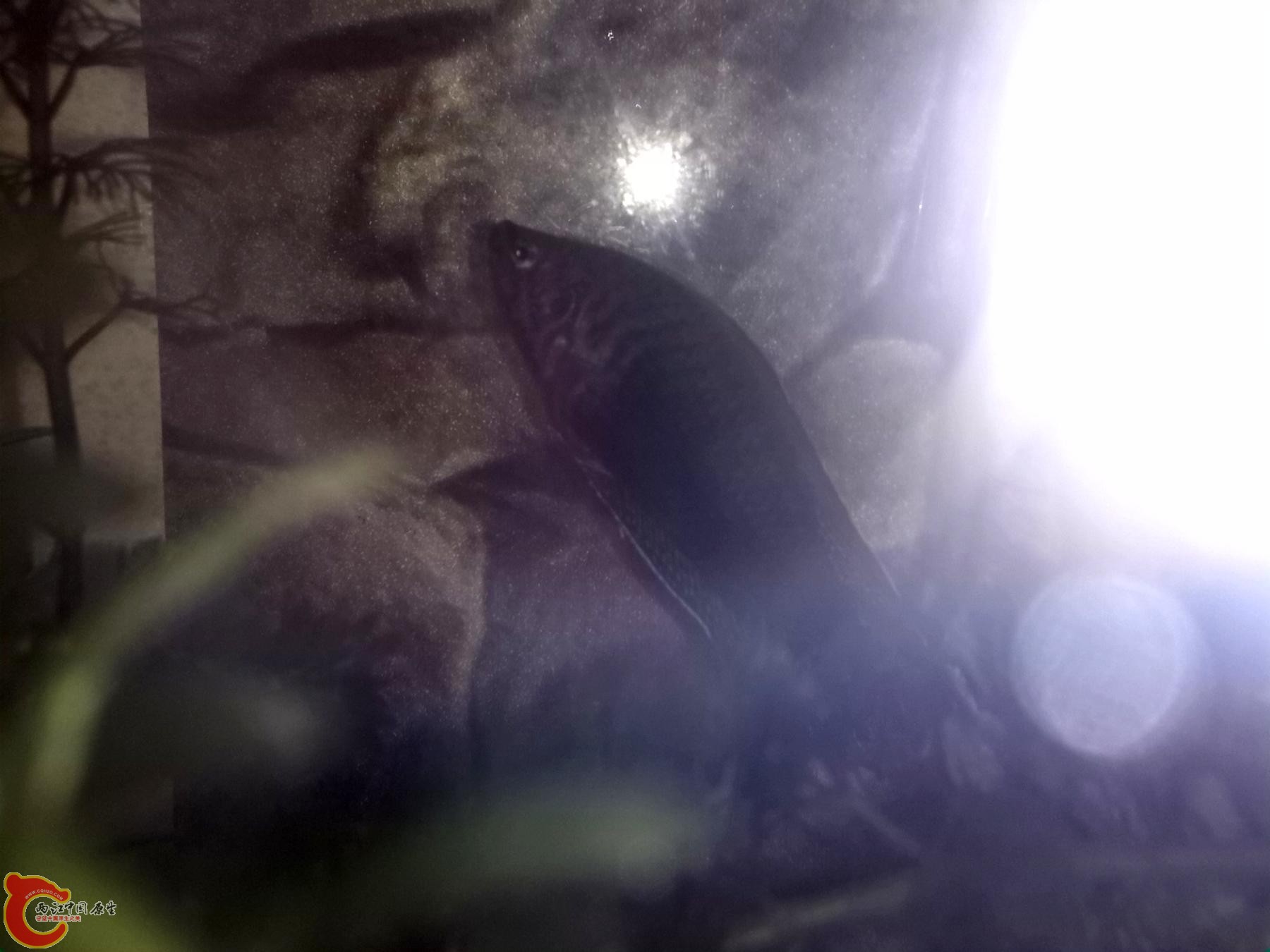 IMG_20130515_223915.jpg