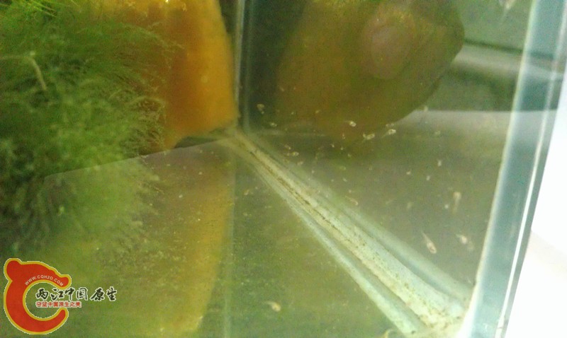 IMAG0782_副本.jpg