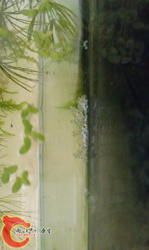 IMAG0779_副本.jpg