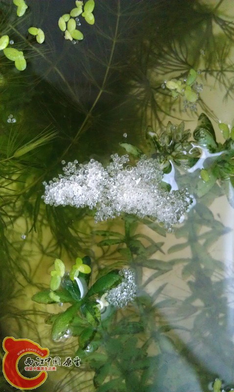 IMAG0778_副本.jpg