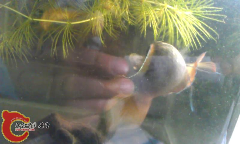 配对拍摄_201351710836.JPG